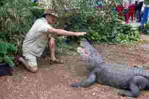 Alligatorfarm Friedberg/Ockstadt | Mamilade Ausflugsziele