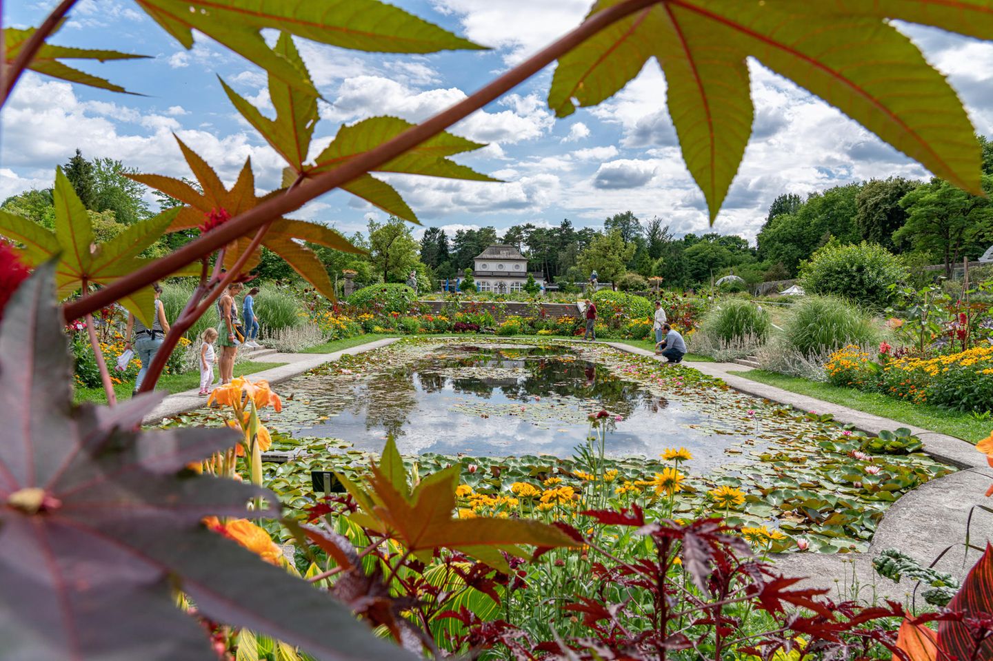 Botanischer Garten M nchen gr ne Oase in der Stadt Mamilade