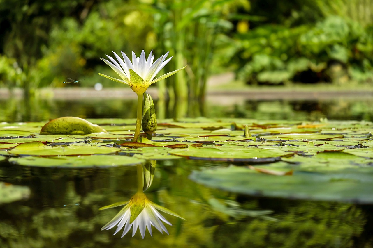 Der Alte Botanische Garten In Gottingen Mamilade Ausflugsziele