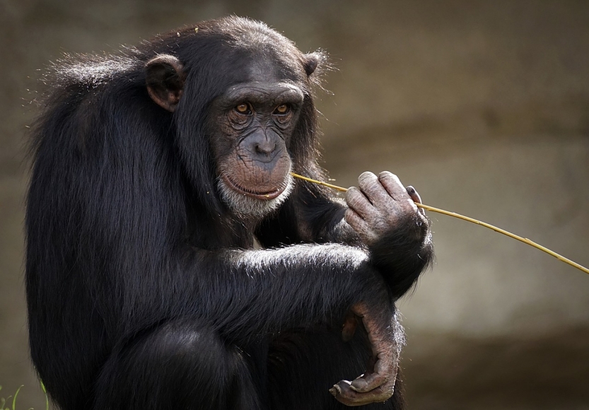 Familien Entdecken Den Zoo Neunkirchen Mamilade Ausflugsziele