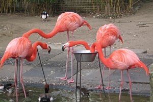 Duisburg parkplatz zoo Duisburg