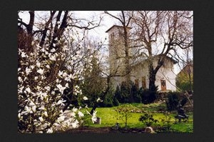 Botanischer Garten Gera Mamilade Ausflugsziele