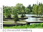 Biozentrum Klein Flottbek Botanischer Garten In Hamburg