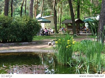 Haus Natur Und Umwelt In Der Wuhlheide In Berlin Mamilade