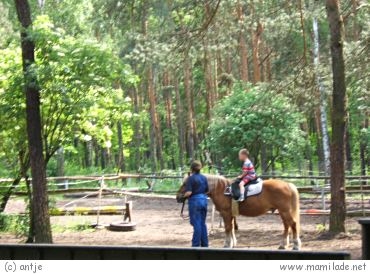 Haus Natur Und Umwelt In Der Wuhlheide In Berlin Mamilade