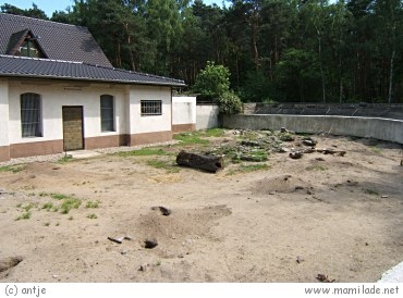 Haus Natur Und Umwelt In Der Wuhlheide In Berlin Mamilade