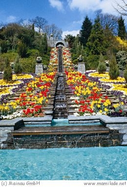 Ausflug Auf Die Blumen Insel Mainau Mamilade Ausflugsziele