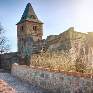 burg frankenstein ausflugstipp mamilade