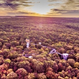 baumkronenpfad nationalpark hainich ausflugstipp mamilade