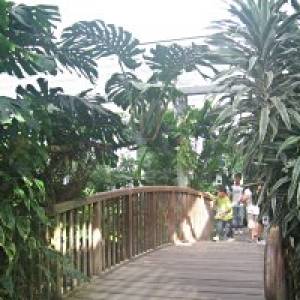 Der Botanische Garten Duisburg Kaiserberg Mamilade Ausflugsziele