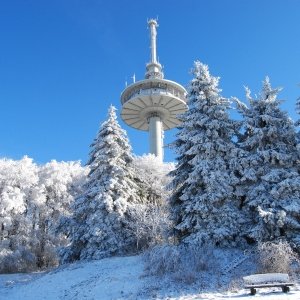 Schneezeit am Hoherodskopf/ Vogelsberg
