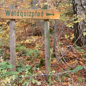 Iberger Waldquizweg ausflugstipp mamilade