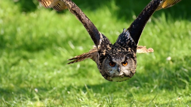 wildpark oberreith ausflugstipp mamilade